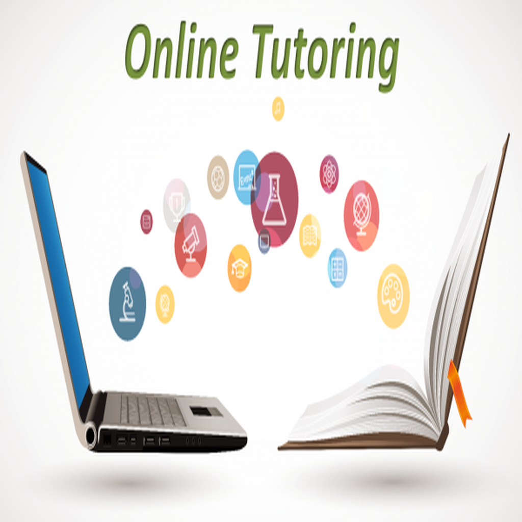 40915Academic Tutor for Elementary Students