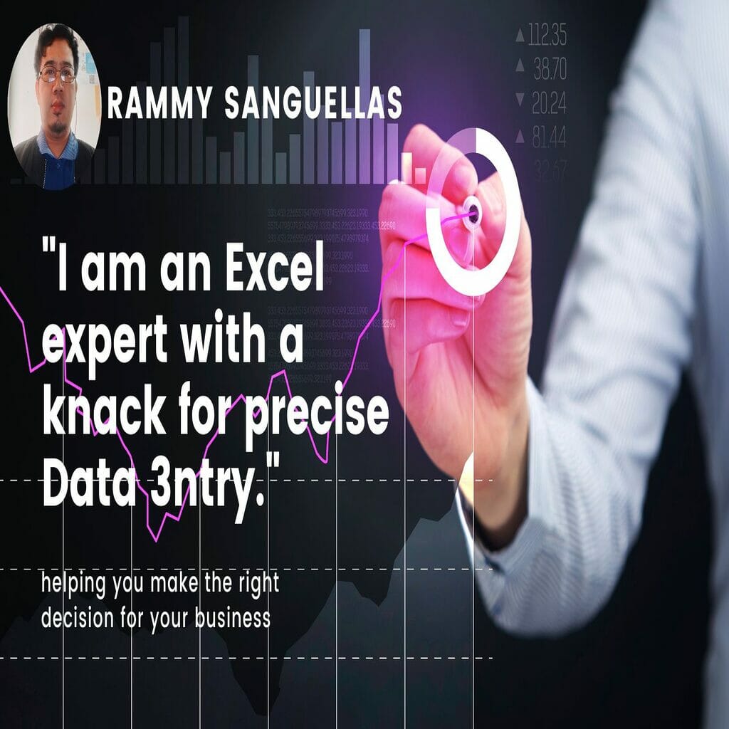 55275Excel Experts and Data Entry Job