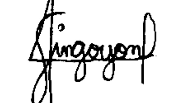 iwork.ph - I can perform various administrative tasks, including answering emails, scheduling meetings and making travel arrangements. - Virtual Assistant