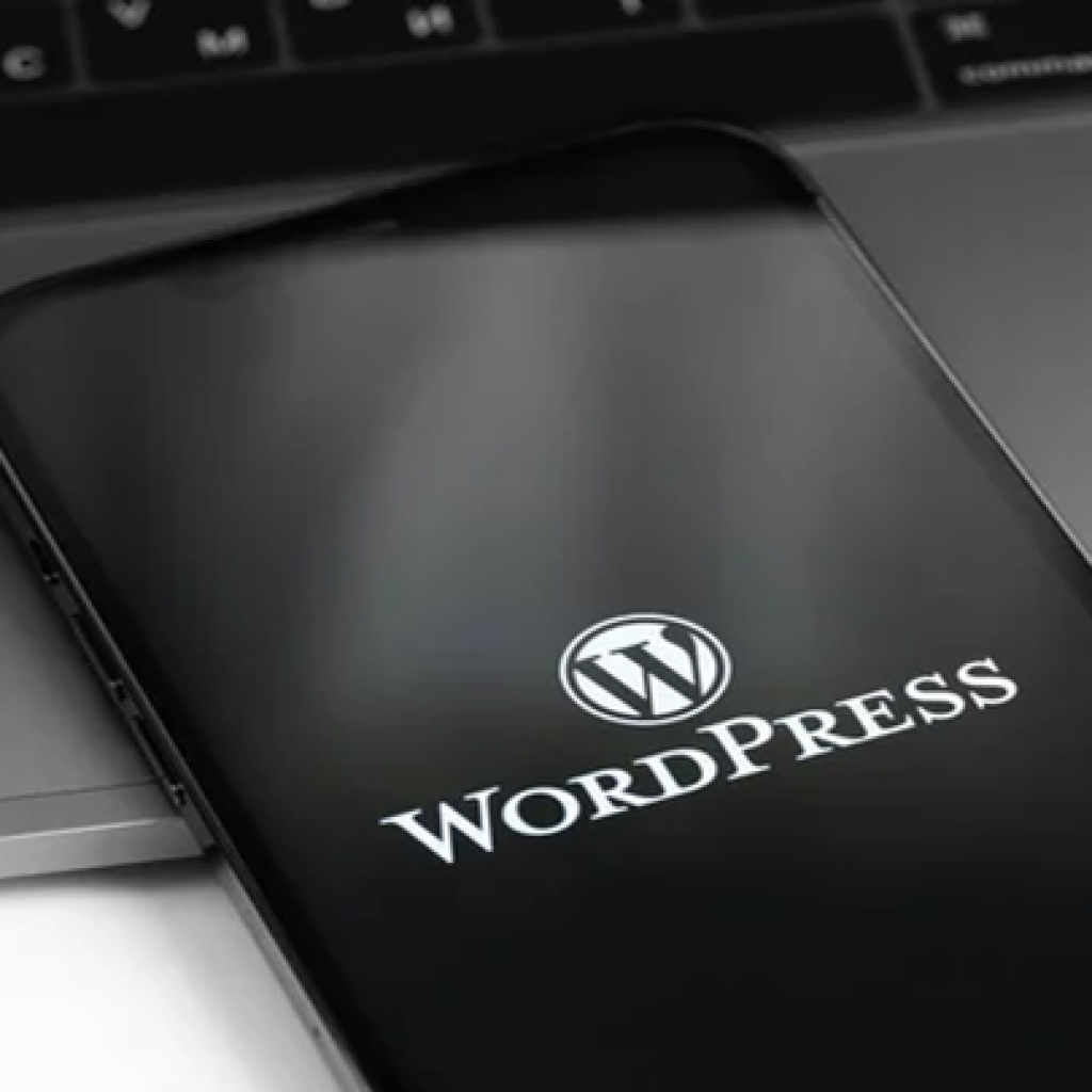 81242WordPress Developer