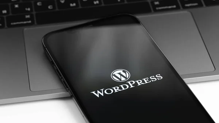 iwork.ph - I can turn your website design into a functional WordPress website. - WordPress Developer